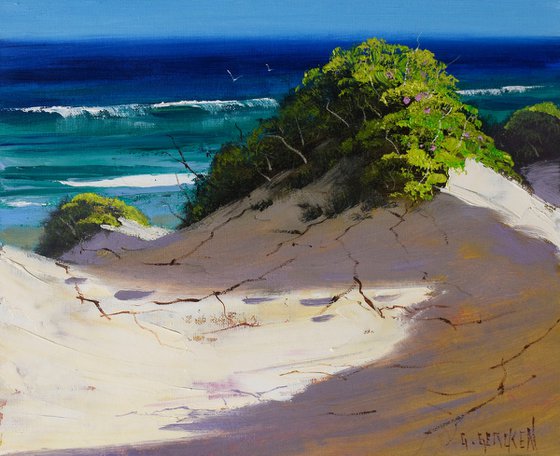 Australian Sandy Beach