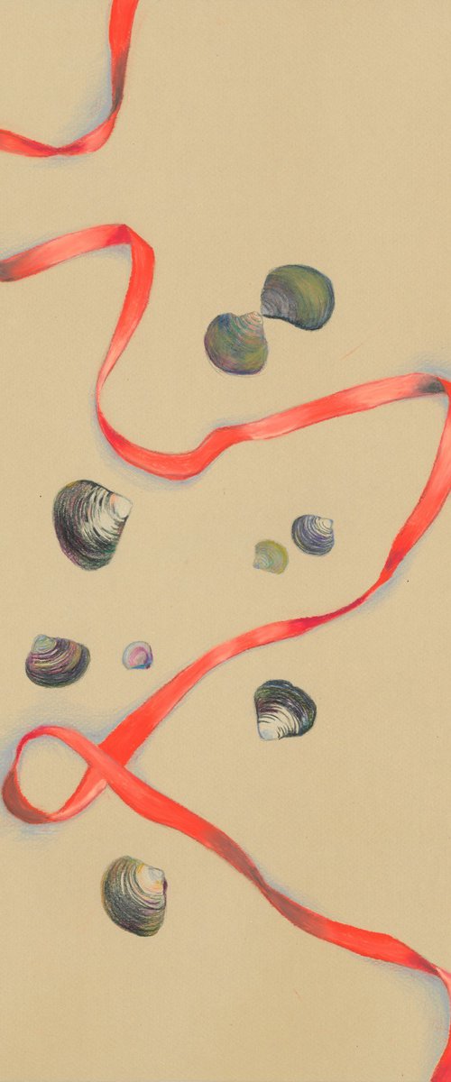Collectors Item No. 4: Creek Shells by Kristine Facchetti