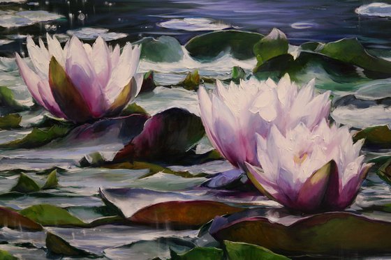 "Water lilies"