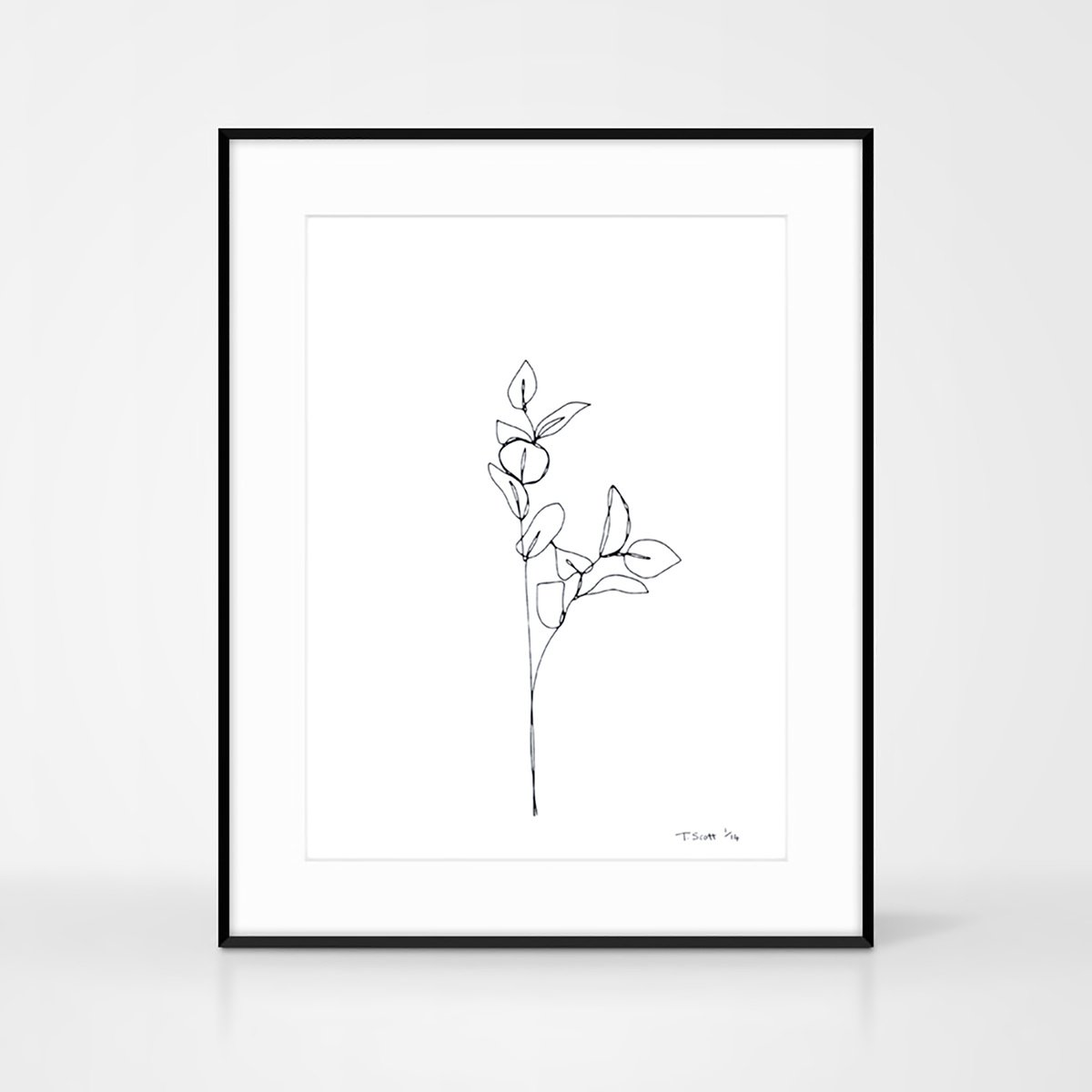 Screen print - Edition of 14 - Botanical plant illustration by The Colour Study