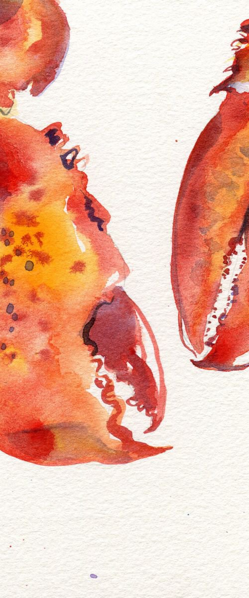 Original Watercolour Painting of Lobster Claws by Hannah Clark
