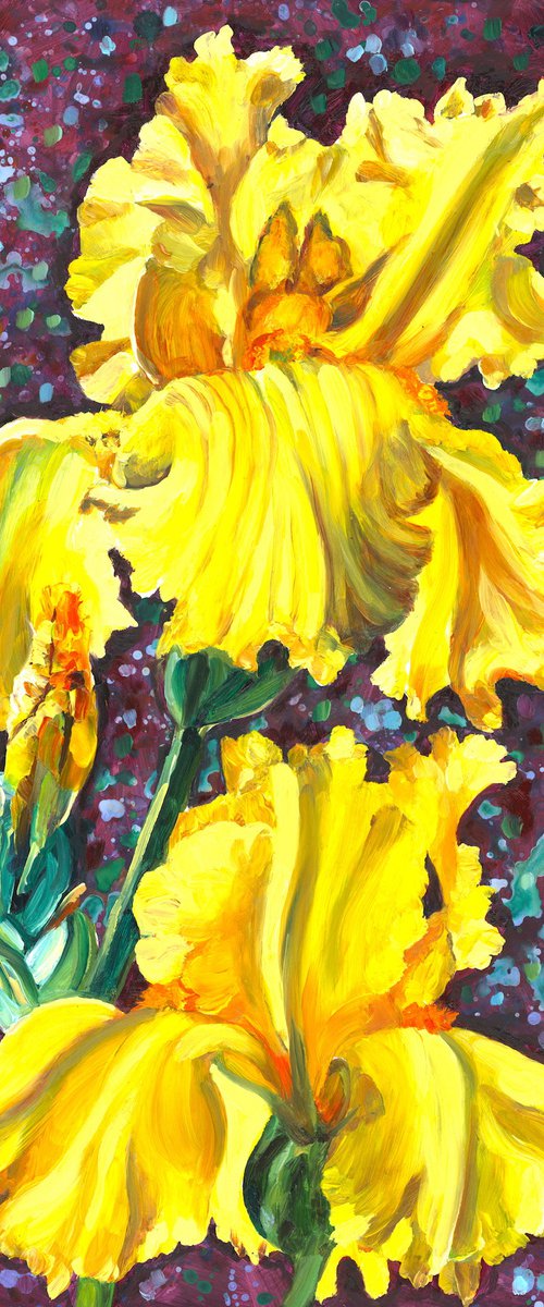 Yellow Iris Duet by Christina M Plichta