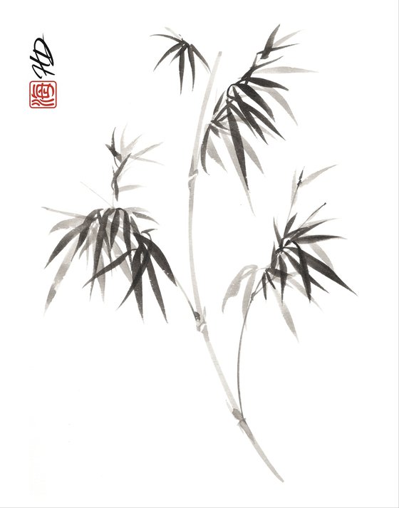 Morning Bamboo