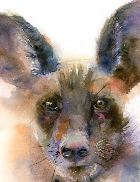 Hyena portrait