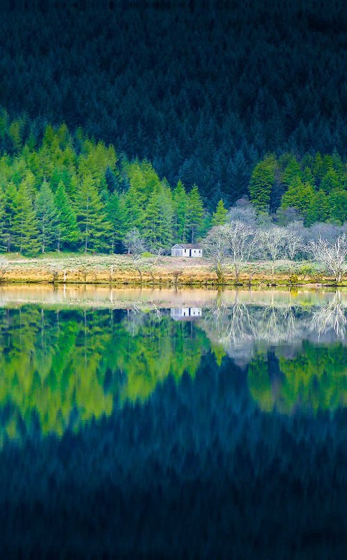 Tranquility at Loch Eck, Scottish Highlands by Lynne Douglas