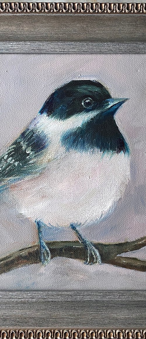 Coal Tit_ Ticia by Arti Chauhan