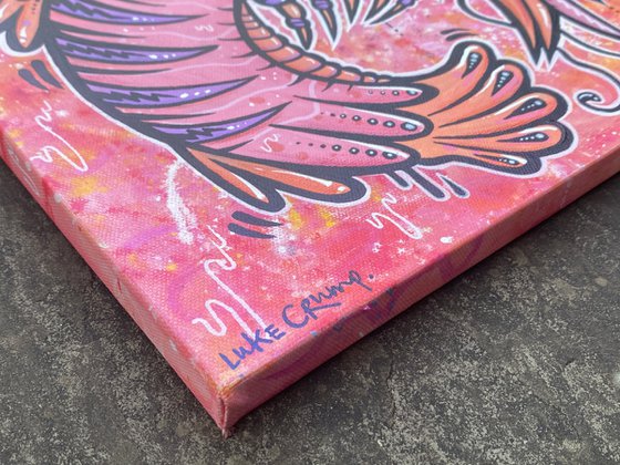 Pink Shrimp