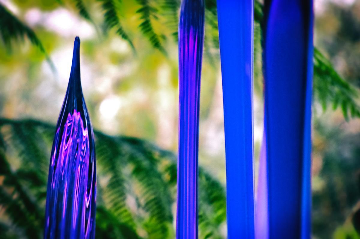 Organic Abstract Photograph By Marc Ehrenbold, 40 X 30", Purple Haze, Original Artwork