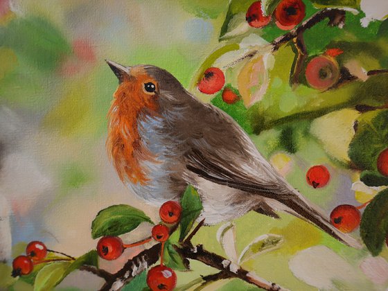 Robin with Red Berries