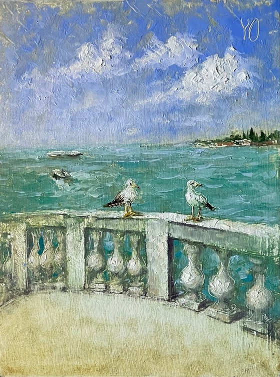 Venice Lagoon Seagulls Terrace