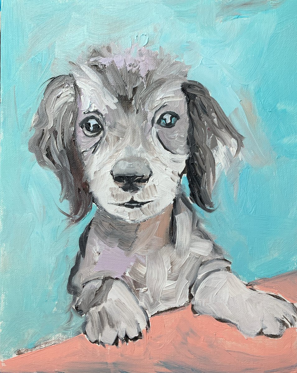 Dog. Puppy. Original impasto, Palette knife oil painting. by Vita Schagen