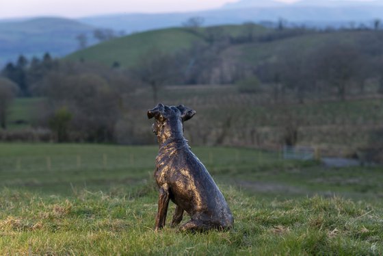 'Missy' Jack Russell sculpture