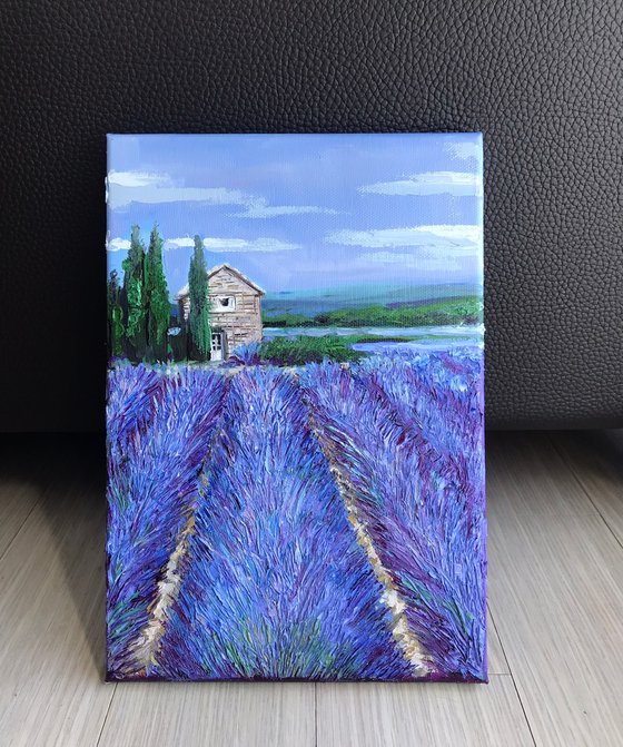 Provence, Lavender field 4 on canvas landscape art