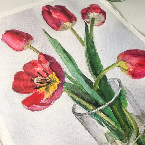 Red tulips