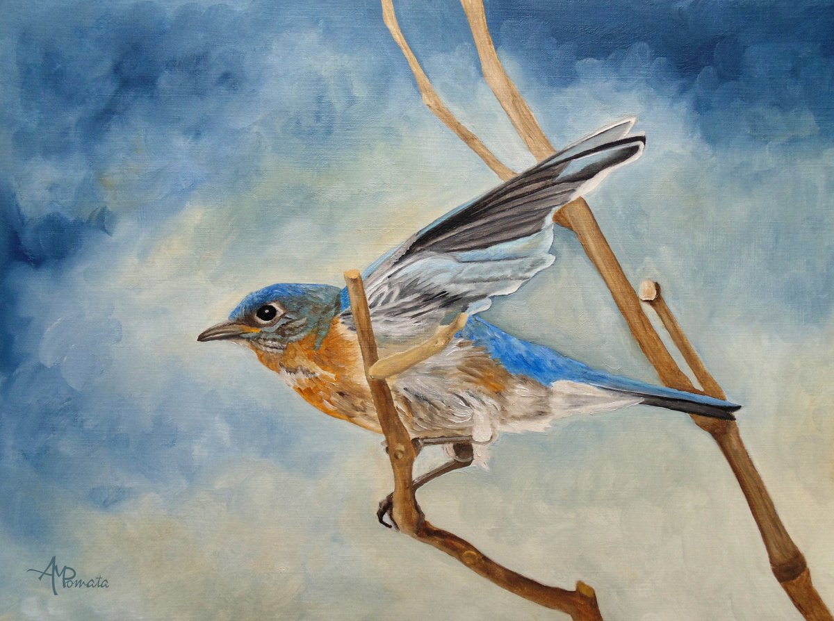 Bluebird, Blue Morning By Angeles M. Pomata, 13 X 10, Artwork For Sale On Artfinder