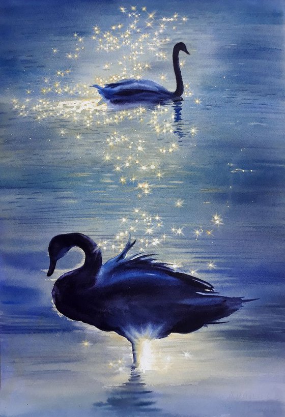 Two Swans - Swan Lake - Swan watercolor -  couple of swans