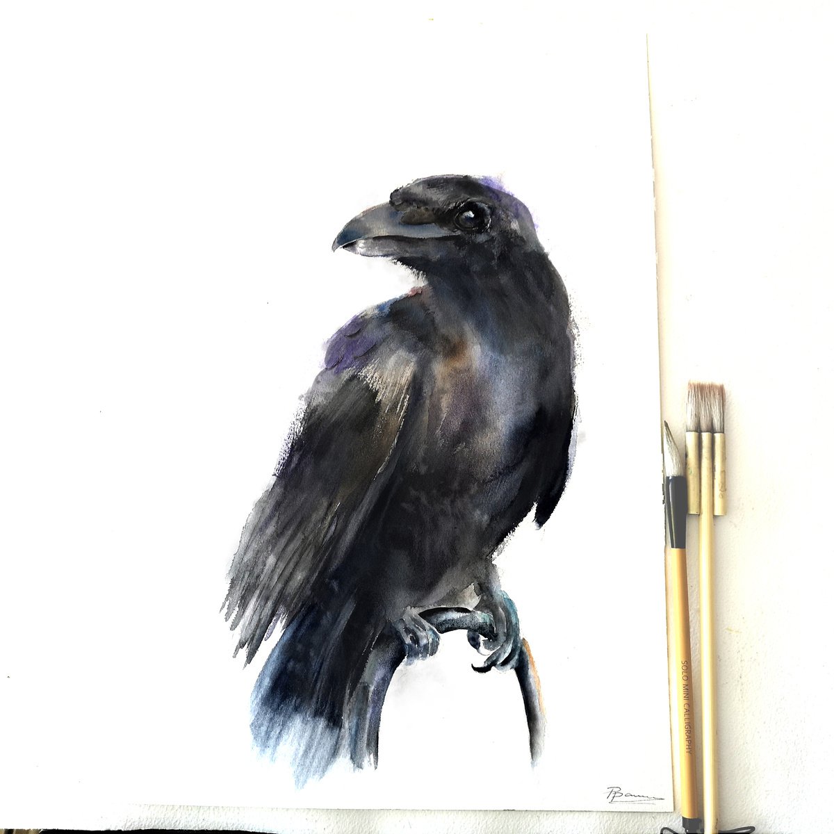 Impressionistic Watercolour , Majestic Raven By Olga Tchefranov (Shefranov), 12 X 18, Artwork For Sale On Artfinder