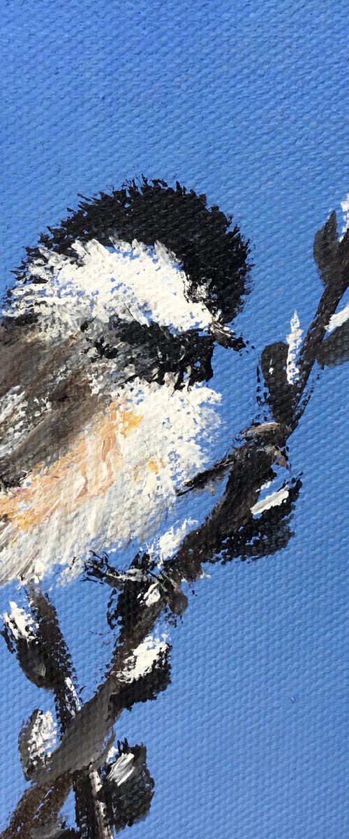 CHICKADEE # 64 (SOLD) by Kathleen McDermott