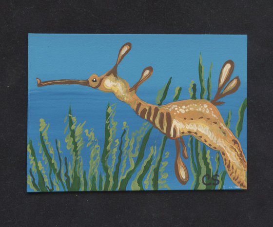 ACEO ATC Original Miniature Painting Weedy Sea Dragon Fish Wildlife Art-Carla Smale