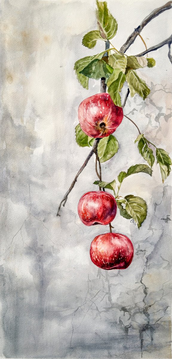 Photorealistic Watercolour , Whispers Through The Wall - Red Apple Branch By Irina Kurganskaya, 9 X 21, Artwork For Sale On Artfinder