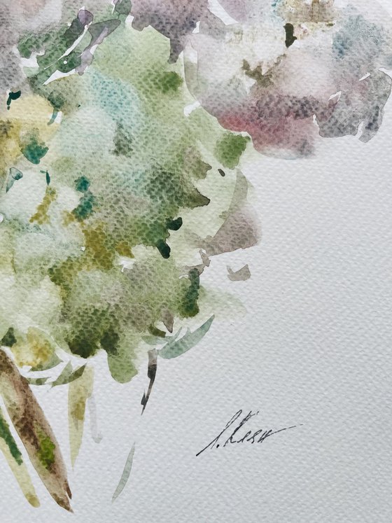 Hydrangea 5 2022