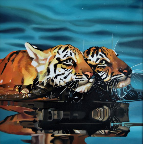 Swimming tigers