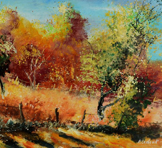 Orchard  in autumn