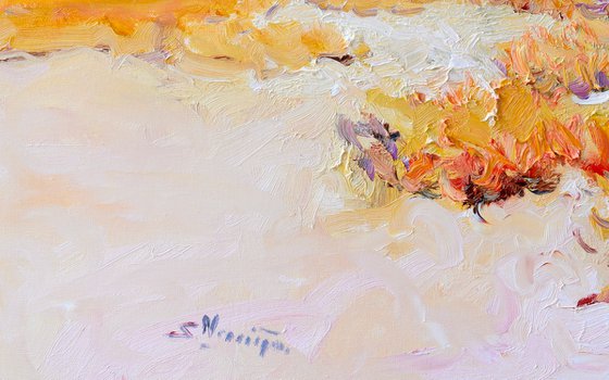White, Sandy Desert