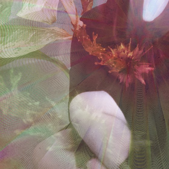 untitled - 39B