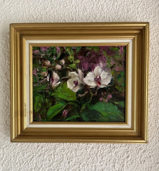 SMALL ORCHID