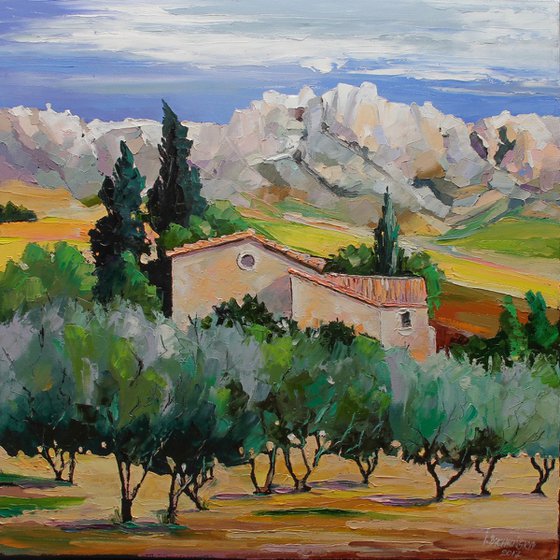 Provence of olive trees