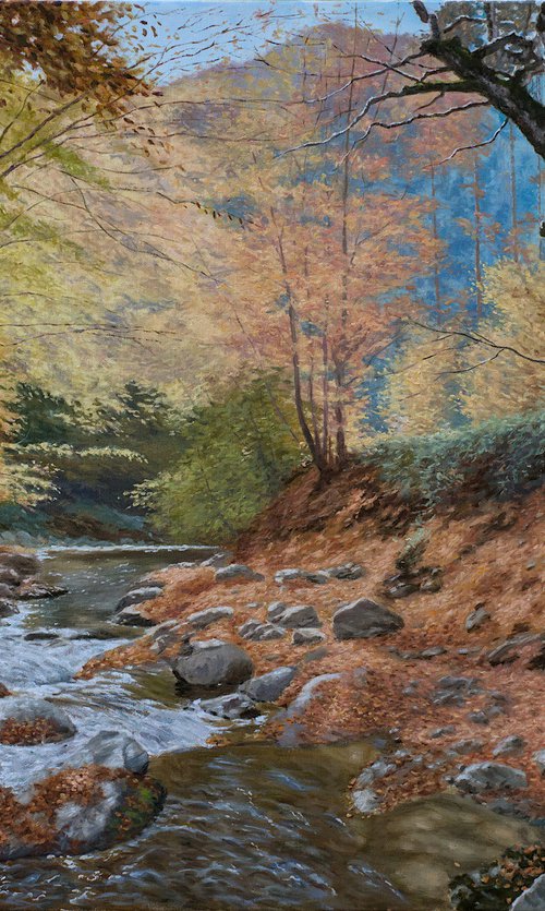 A Wooded River by Dejan Trajkovic