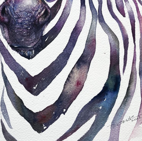 Zebra Johan