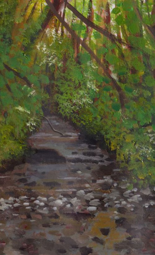 Lamorna stream by Tim Treagust