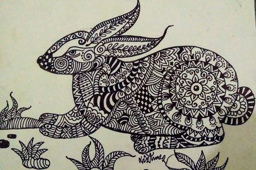Beauty of Rabbit  lines drawing by SANJAY PUNEKAR