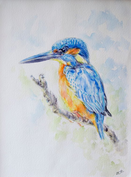 Kingfisher