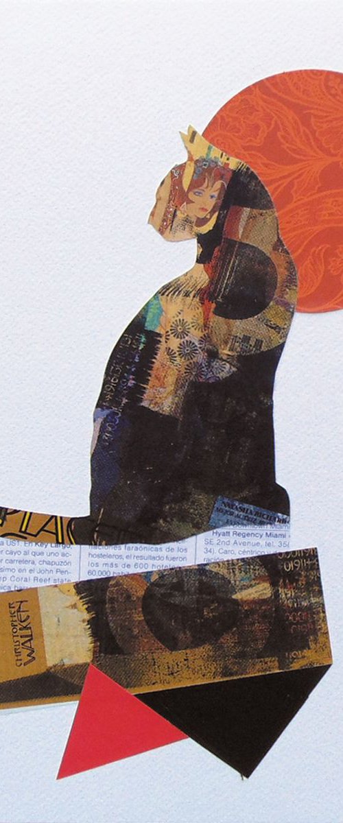 Collage_136_cat by Manel Villalonga