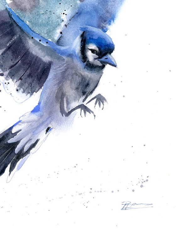 Flying Blue Jay Watercolour By Olga Shefranov Artfinder