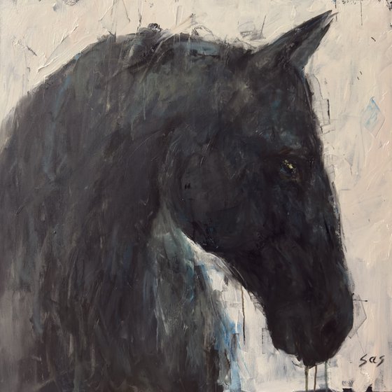 Black horse