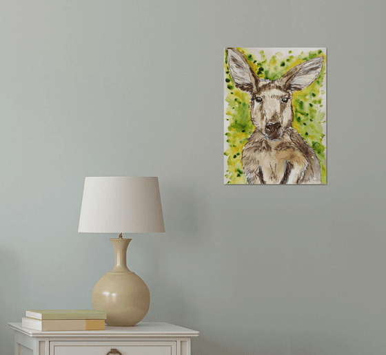 "Wallaroo"