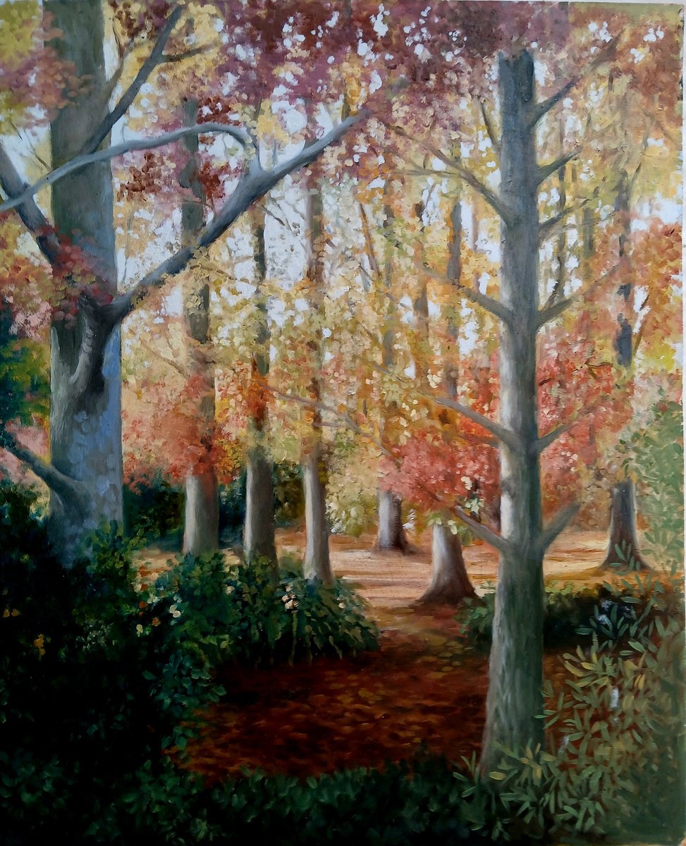 Impressionistic Landscape Oil Painting By Sophie Colmer-Stocker, 15 X 18", French Woodland In Autumn, Original Artwork