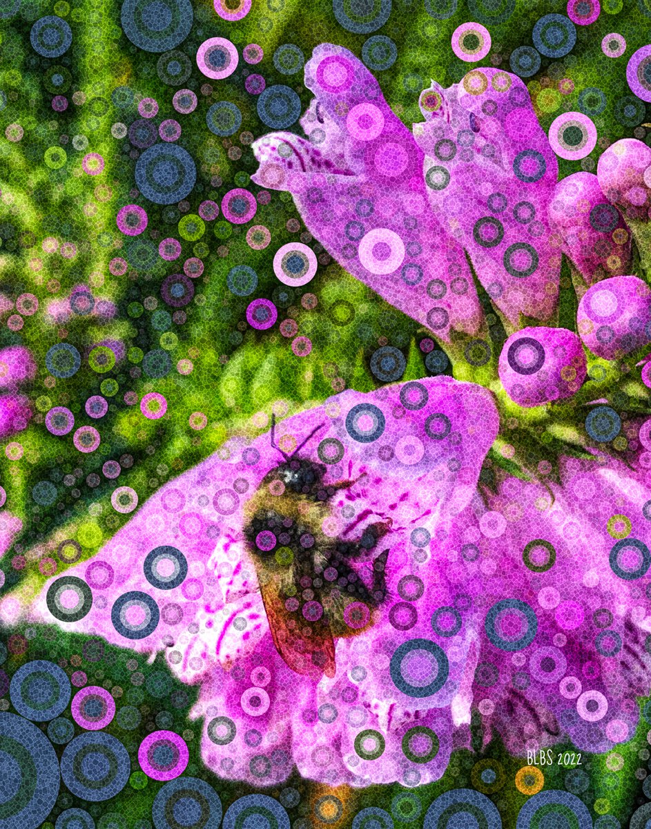 Bumbly Bee No. 6 by Barbara Storey