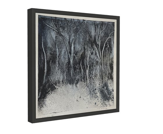 Woods IV 2026