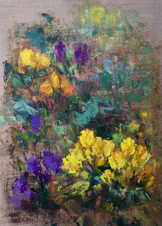 CROCUSES