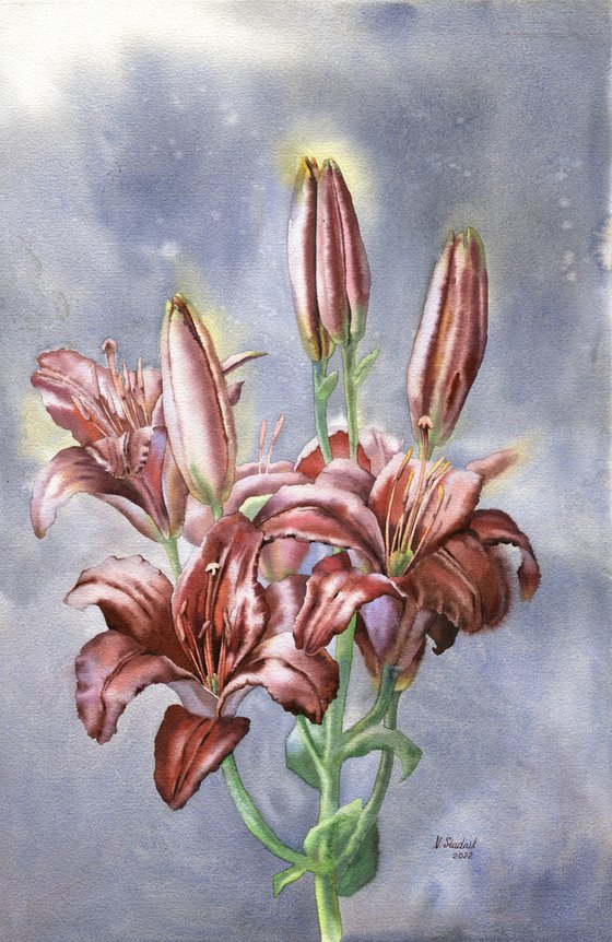 Ukrainian watercolour. Cold morning. Lilies