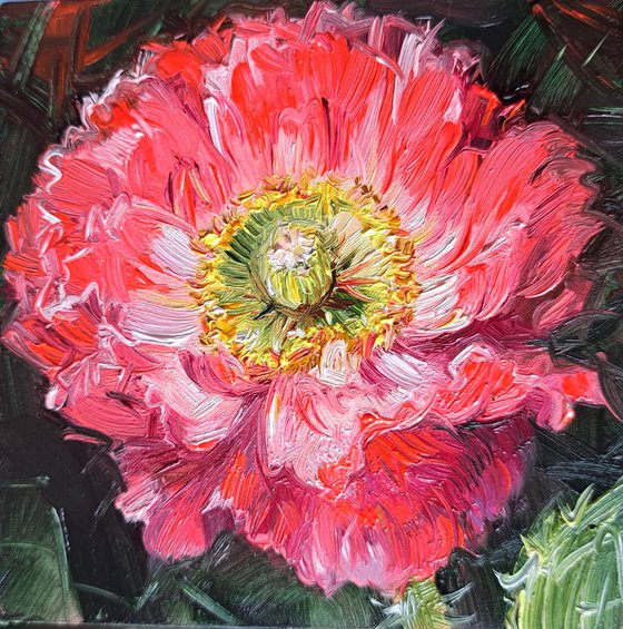 Poppy painting original