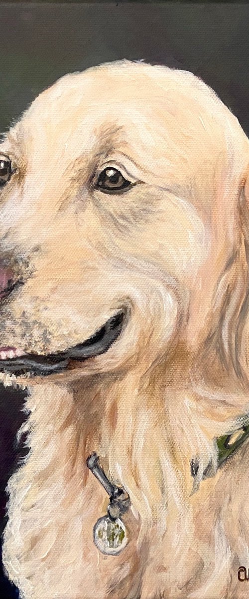 Smiling dog by Olga Kurbanova