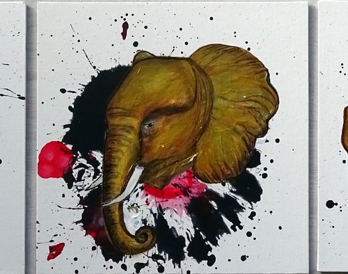 The golden gaze (Elephants) by CB.