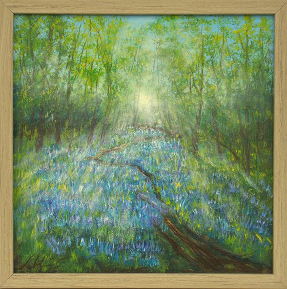 Bluebell woodland