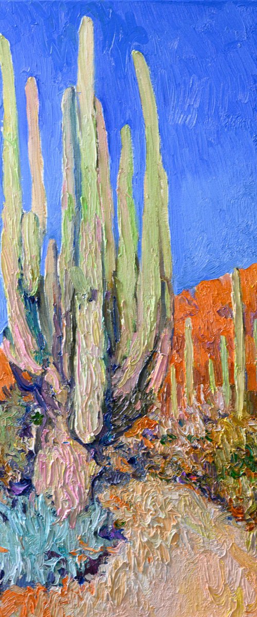 Old Saguaro by Suren Nersisyan